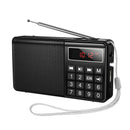 Mult Function Portable Radio with AM+FM Dual Mode (HI50)
