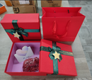 Christmas Gift Box + Carry Bag