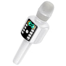 Bluetooth Karaoke Microphone & Speaker, with USB Drive/MicroSD Card/Aux Input (L24)