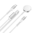 2 in 1 USB-C to Lightning & iWatch Charging Cable (CW54)