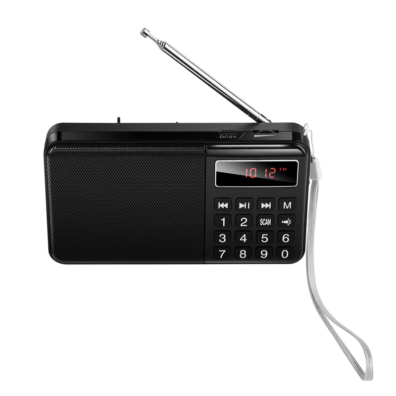 Mult Function Portable Radio with AM+FM Dual Mode (HI50)