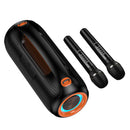600W Bluetooth Party Speaker with 2 Wireless Microphones, RGB Light, 6000mAh Battery, IPX5 Waterproof (DS67)