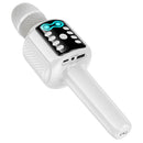Bluetooth Karaoke Microphone & Speaker, with USB Drive/MicroSD Card/Aux Input (L24)