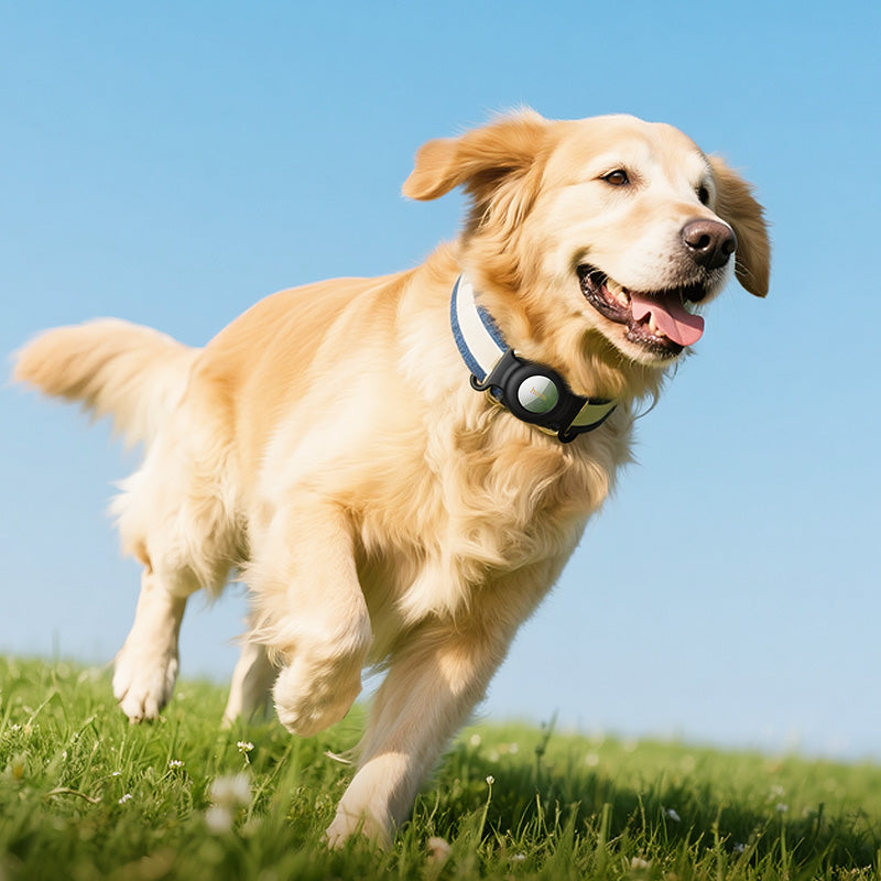 Smart Wireless Pet Tracker Tag w/ 9-12 Months Battery Life, Comfortable Collar (E91C)