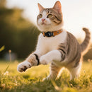 Smart Wireless Pet Tracker Tag w/ 9-12 Months Battery Life, Comfortable Collar (E91C)