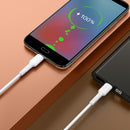 60W Fast Charge Data Cable (D40) - Type C to Type C (PD 60W)